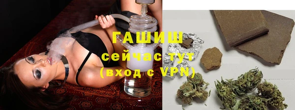 сатива Абинск
