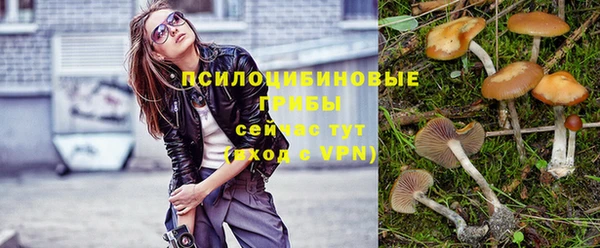 а пвп мука Абдулино