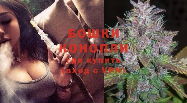 сатива Абинск
