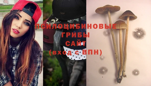 а пвп мука Абдулино