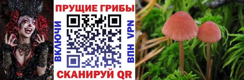 Галлюциногенные грибы мухоморы закладки mega ССЫЛКА Хабаровск
