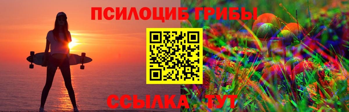 Псилоцибиновые грибы GOLDEN TEACHER Хабаровск