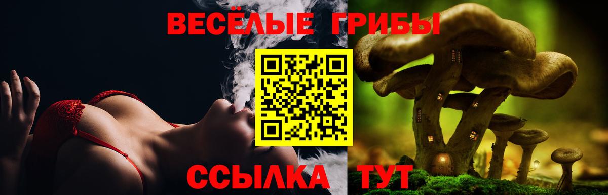 Псилоцибиновые грибы мухоморы  Вход с VPN  цена наркотик  Хабаровск 